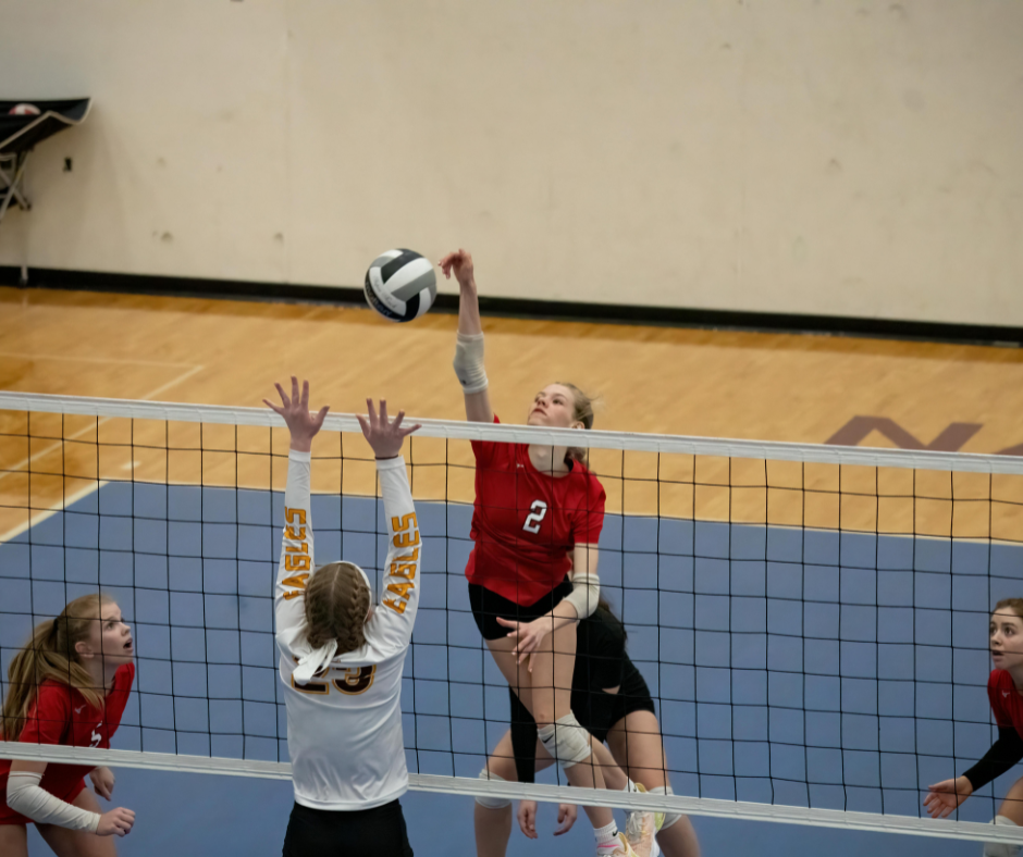 Volleyball Image